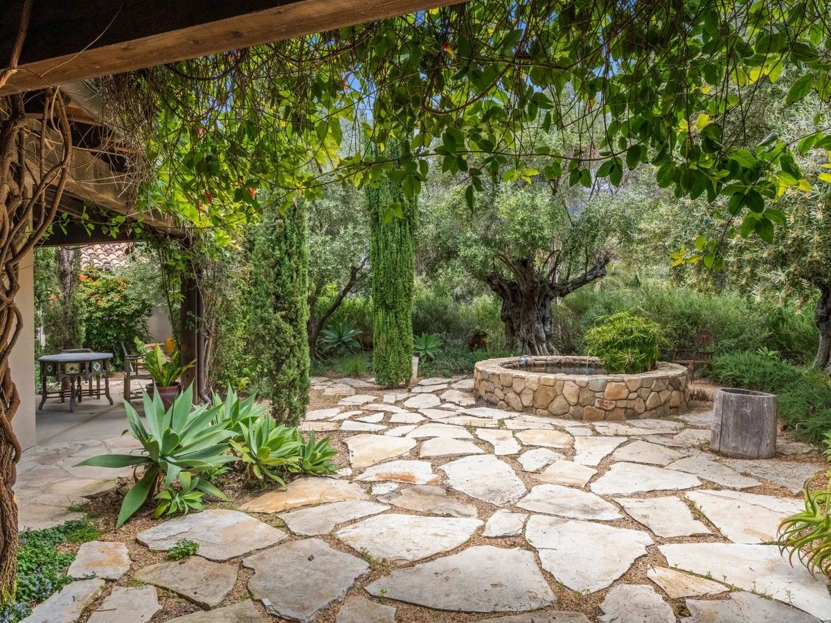 Cour jardinée ombragée par une pergola et la végétation.